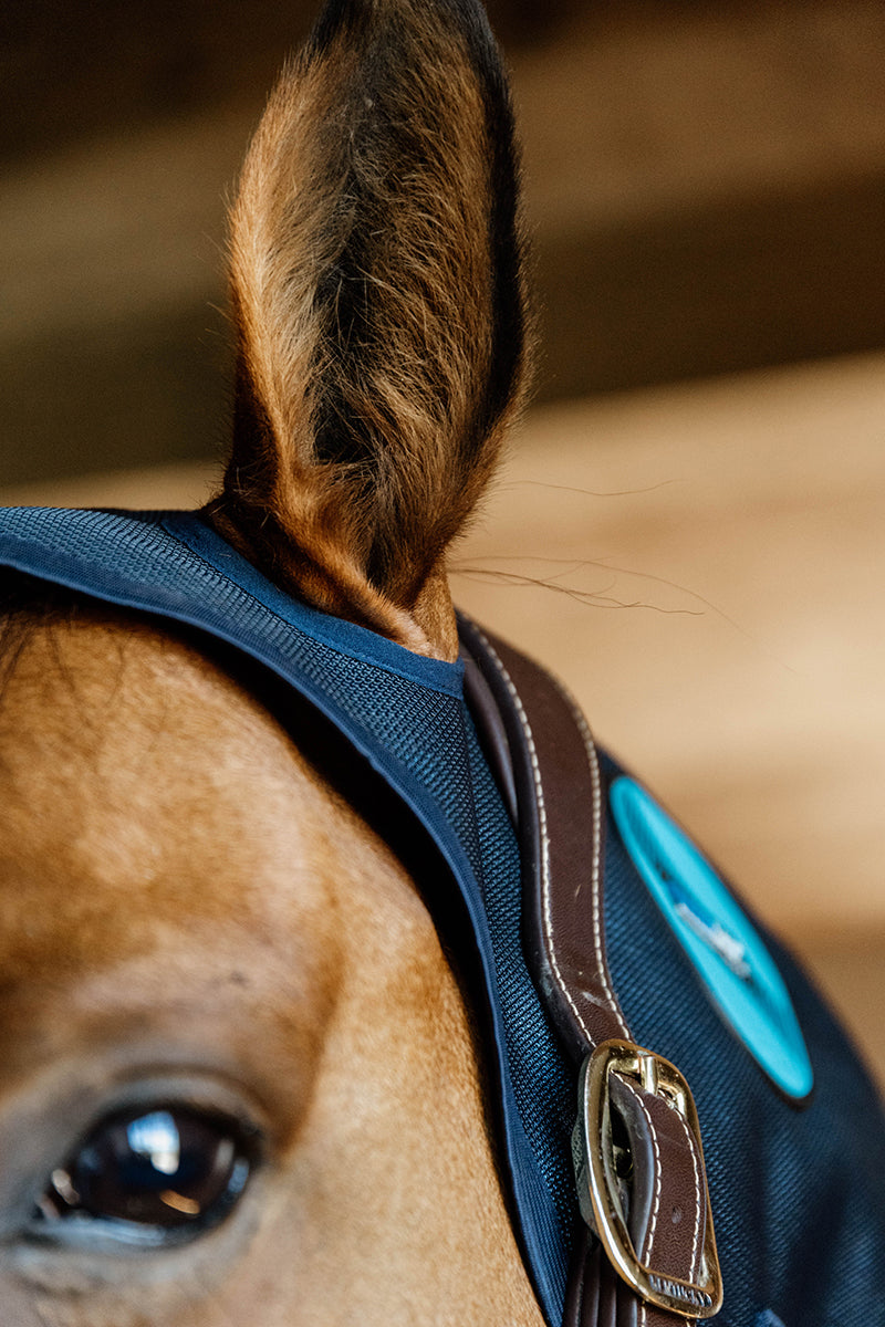 Kentucky Horsewear Magnetic Neck Protector Recuptex Navvy