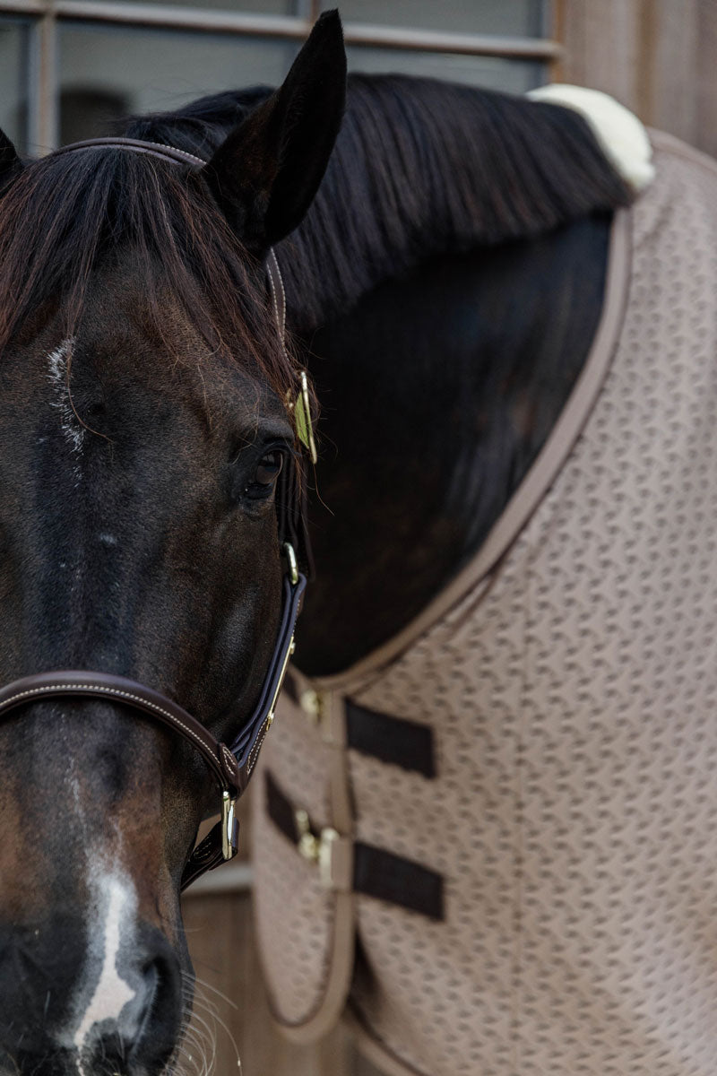 Kentucky 4D Spacer Cooler Sheet Beige