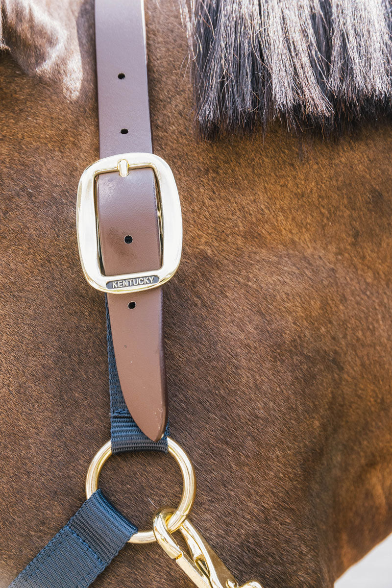 Kentucky Nylon Halter Breakaway Navy