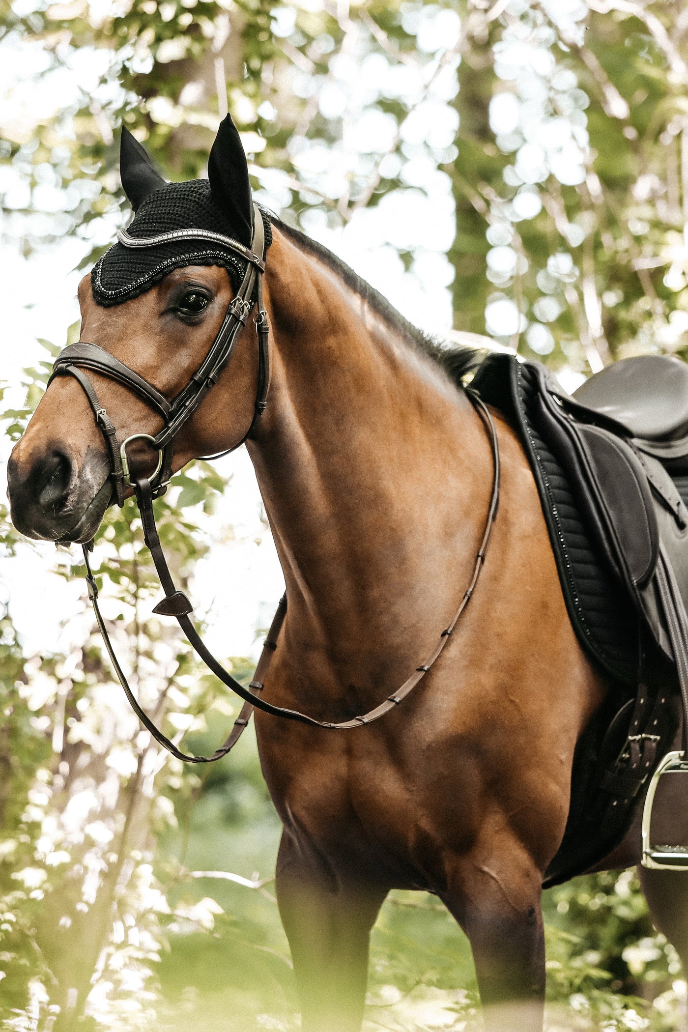 Kentucky Horsewear Pearl Dressage Saddle Pad Black