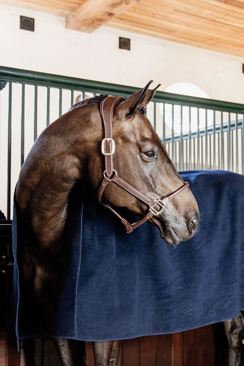 Kentucky Heavy Fleece Rug Square Navy