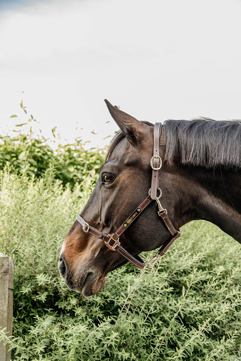 Kentucky Horsewear Leather Halter Flexible Brown