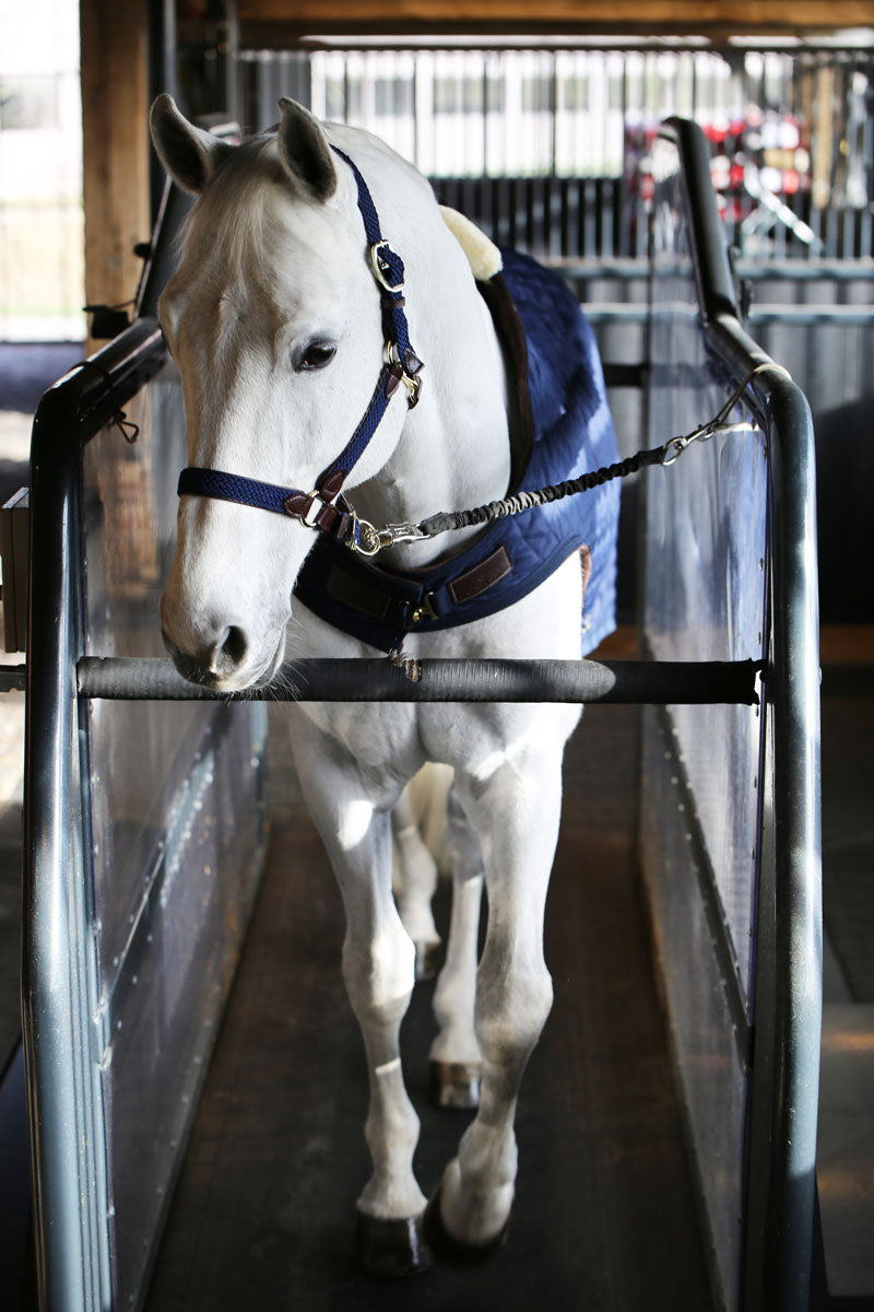 Kentucky Horsewear Walker Rug 160g Navy