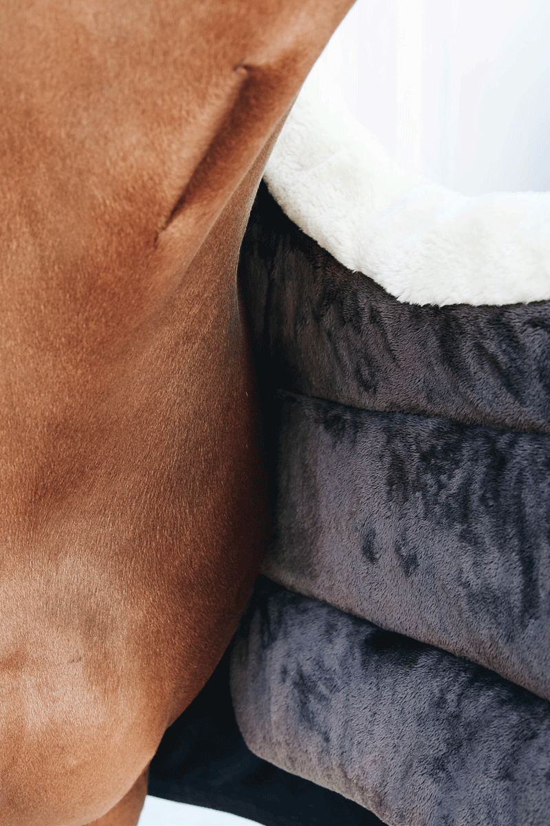 Kentucky Horsewear Horse Bib Winter Navy