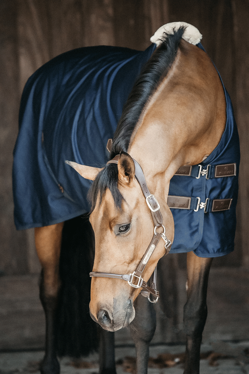 Kentucky Horsewear Cotton Sheet Navy