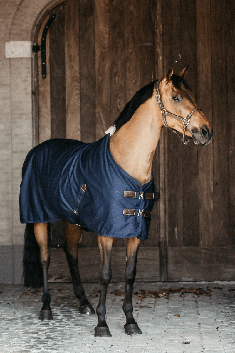 Kentucky Horsewear Cotton Sheet Navy