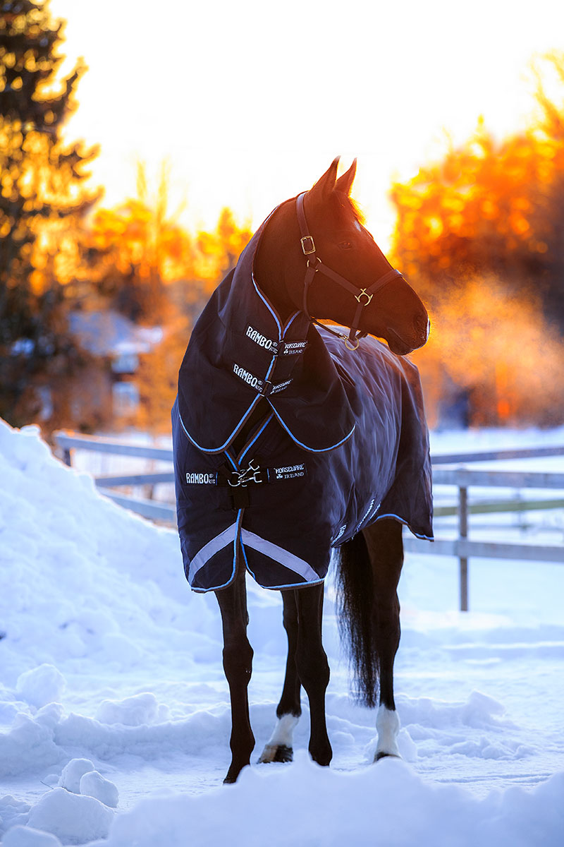 Rambo Duo Turnout Navy/Baby Blue & Brown