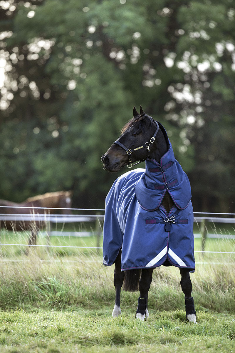 Rambo Optimo Turnout 0g Navy/Burgundy, Teal and Navy