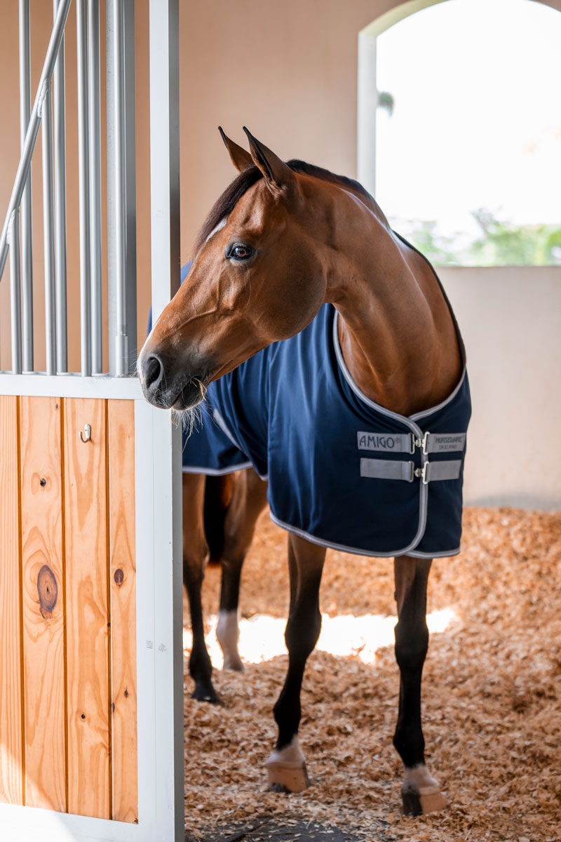Amigo Stable Sheet Navy/Titanium Grey & Silver