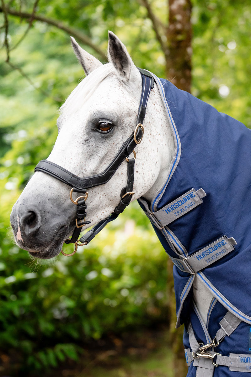 Rhino Plus Pony 0g Turnout Navy/Titanium & Classic Blue