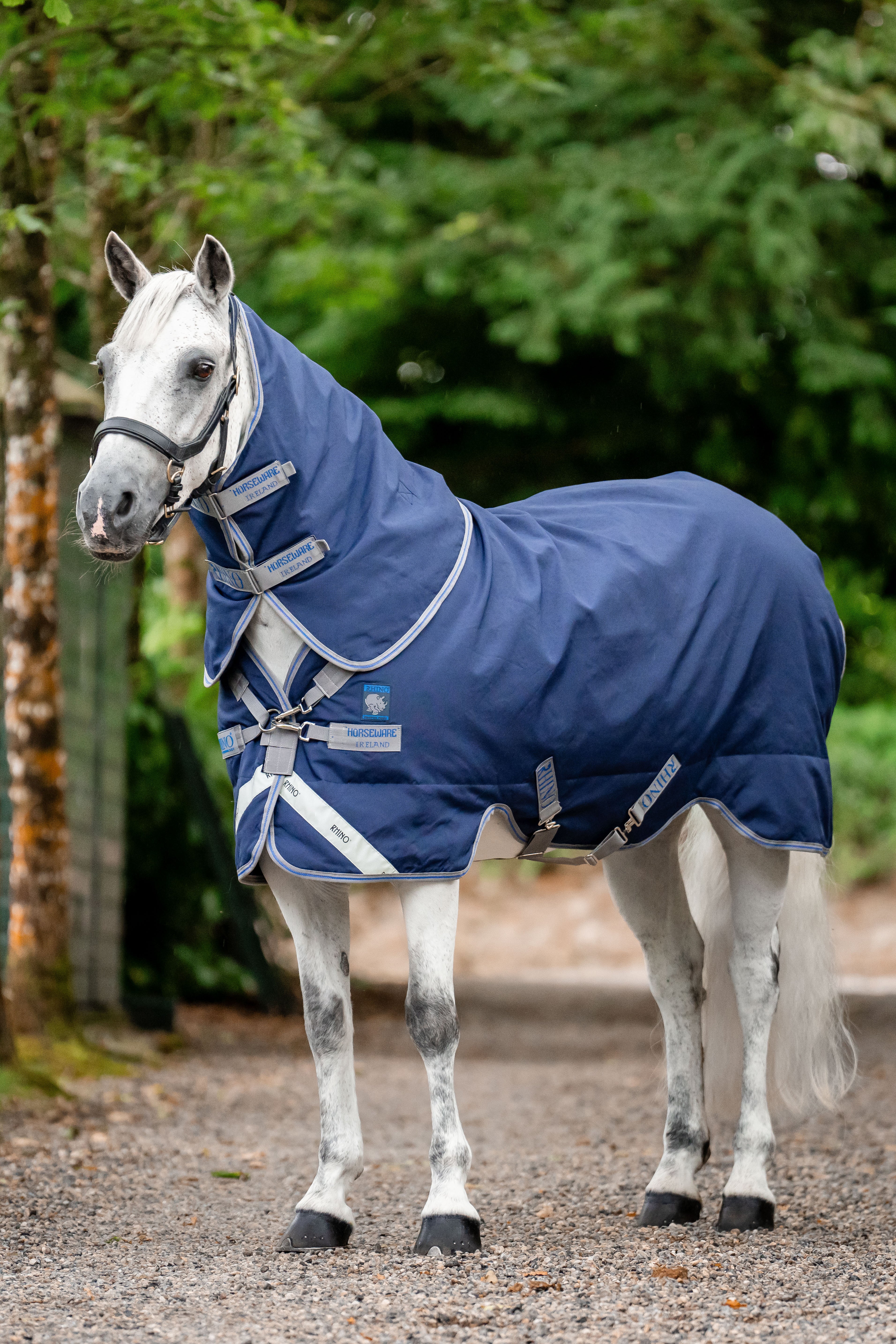 Rhino Pony Plus Turnout 250g Navy/Titanium Grey & Classic Blue