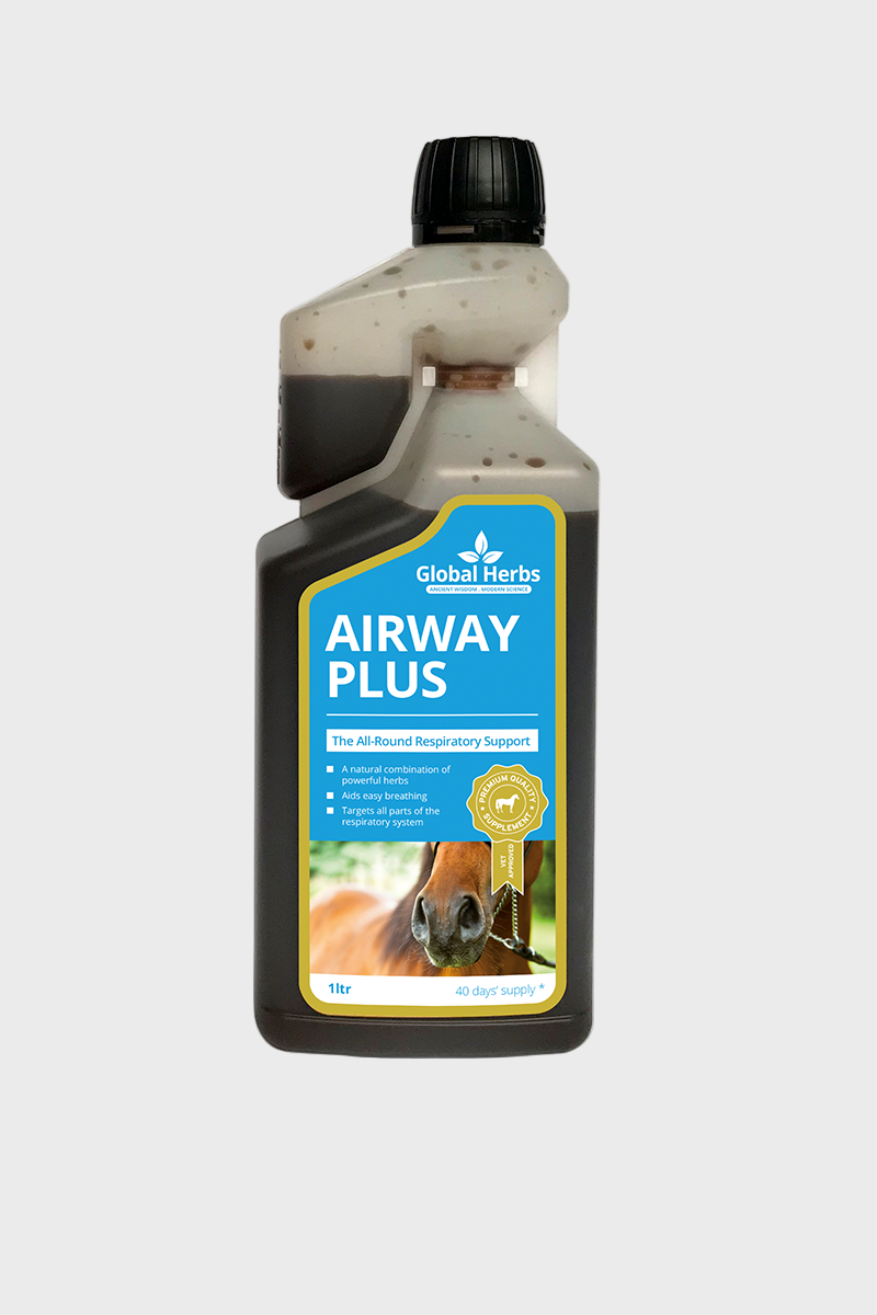 Global Herbs Airway Plus Liquid 1L