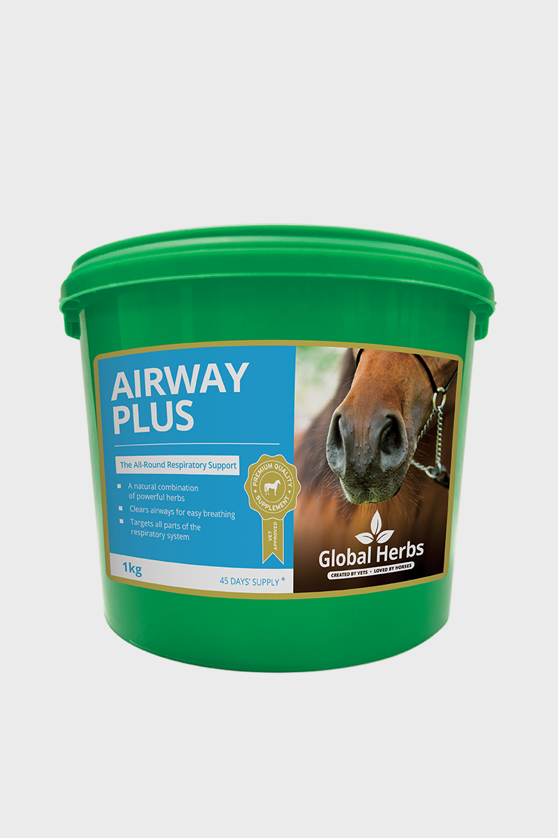 Global Herbs Airways Plus Powder 1kg
