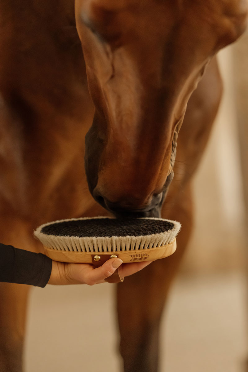 Grooming Deluxe Overall Body Brush Shine