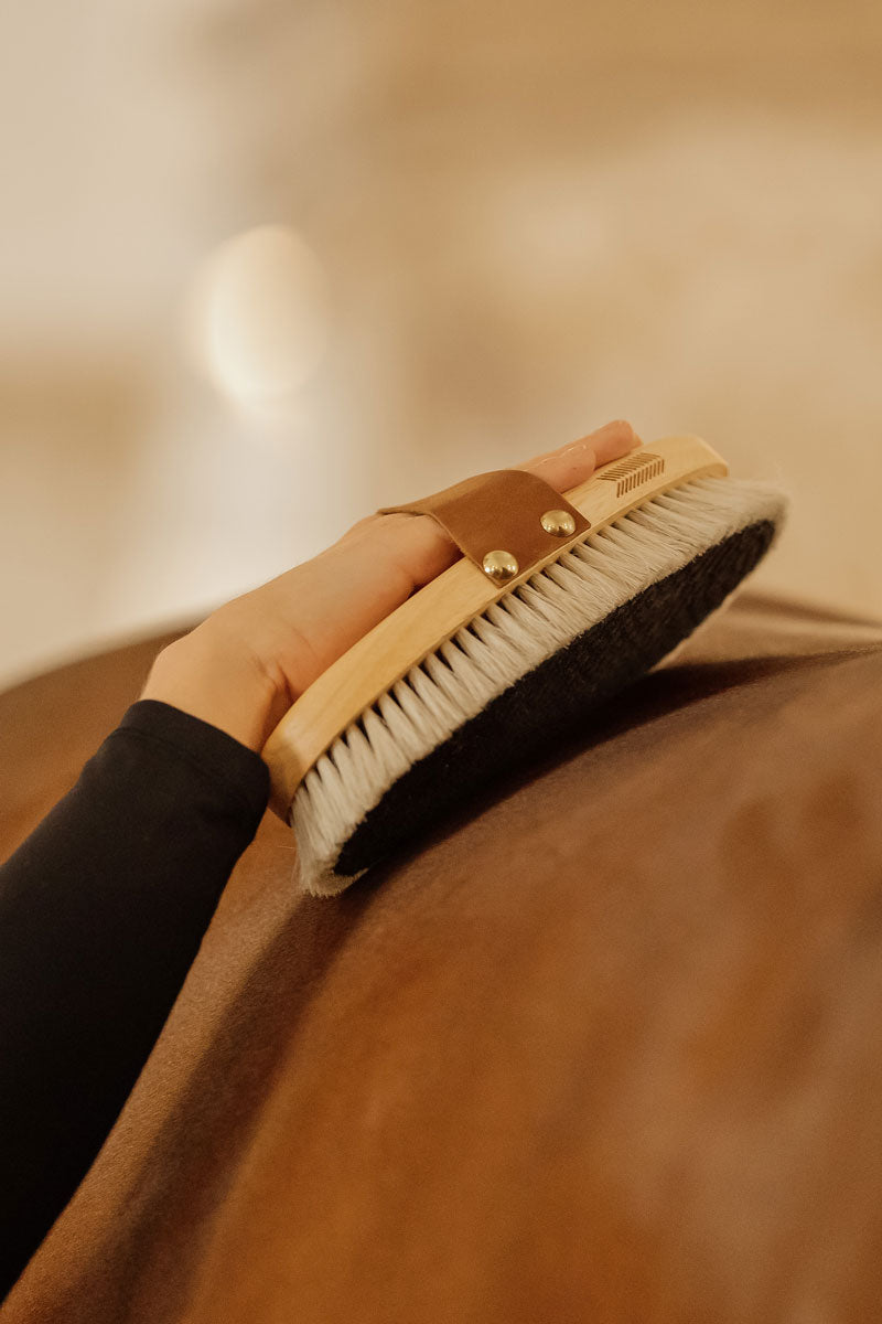 Grooming Deluxe Overall Body Brush Shine