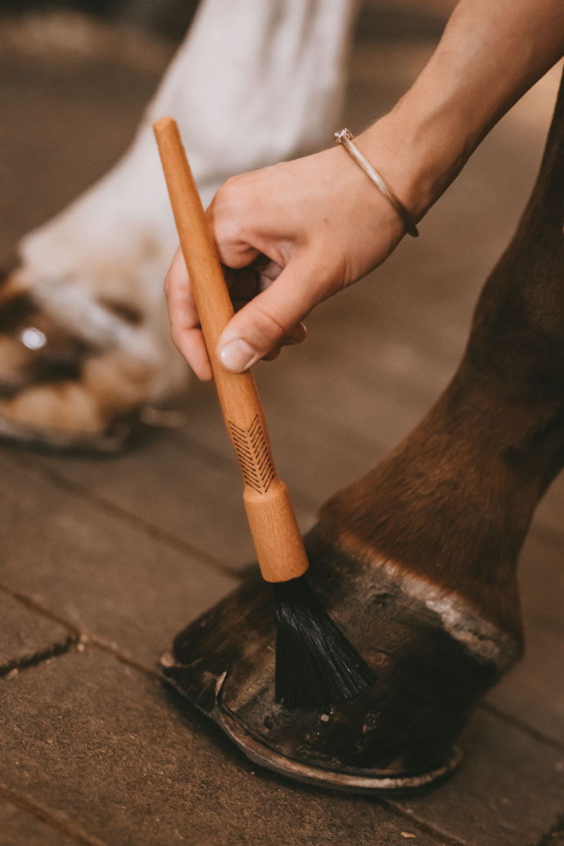 Grooming Deluxe Hoof Oil Brush