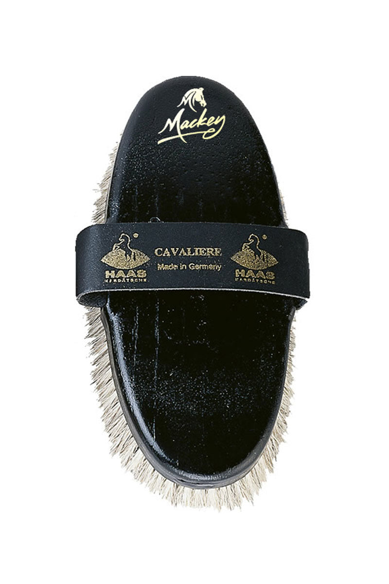 HAAS Cavaliere