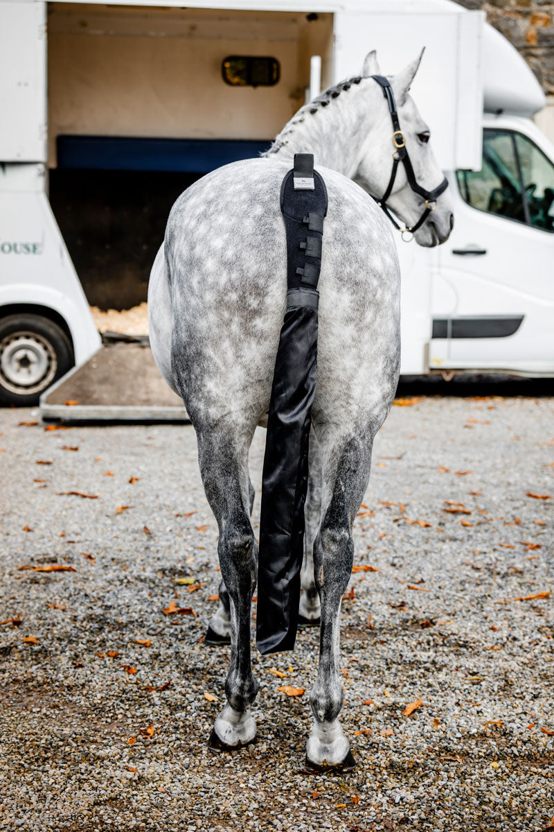 Horseware Tail Guard & Bag Black