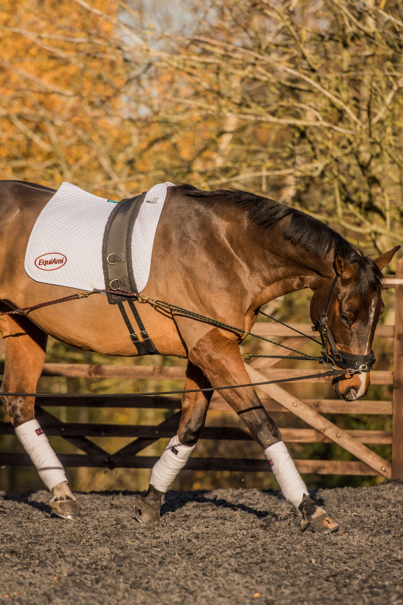 EquiAmi Standard Lunge Aid Black