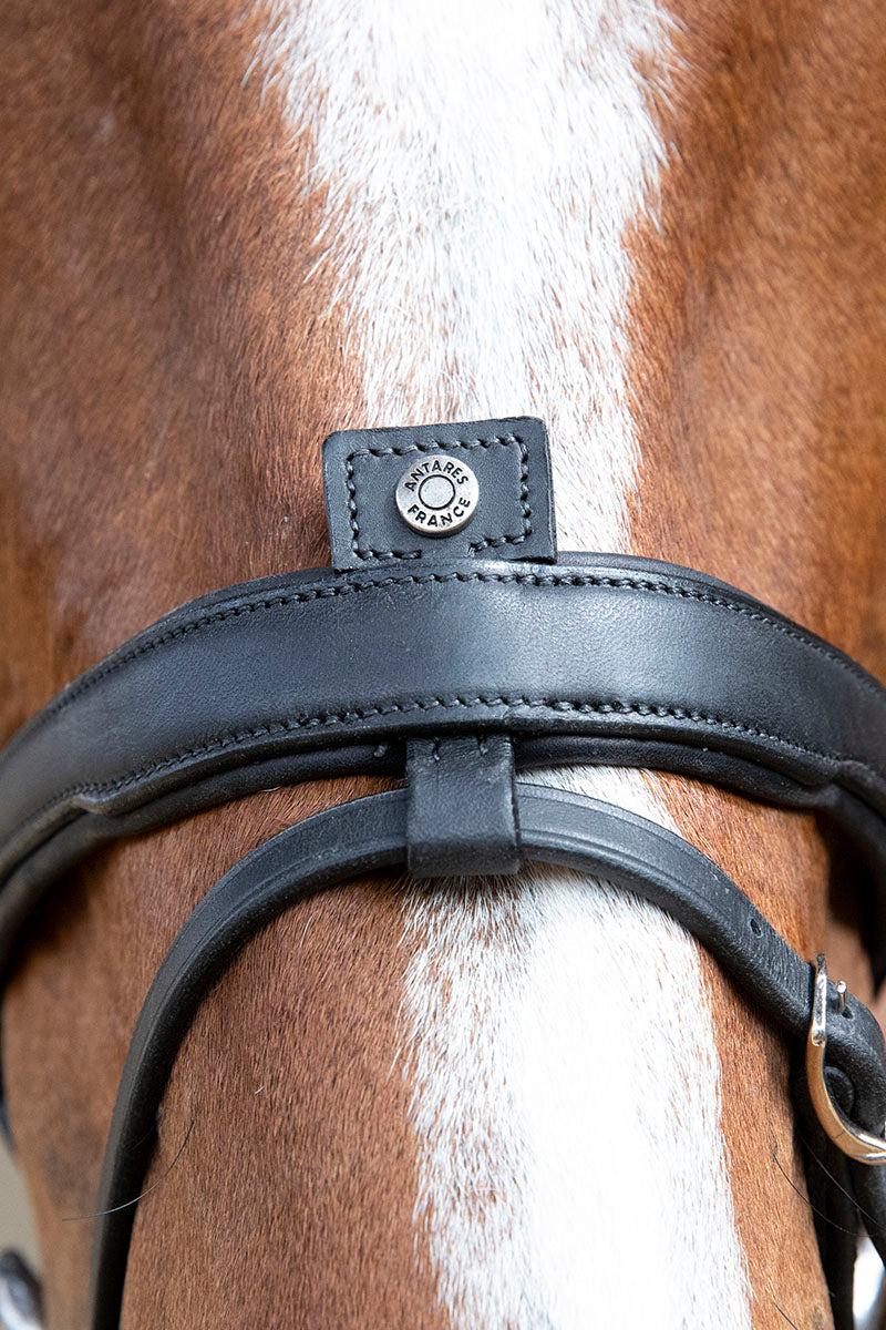 Antares Origin Flash Bridle Black