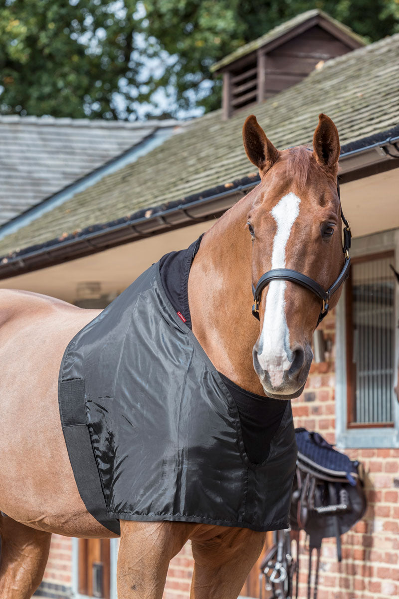 Le Mieux Anti-Rub Bib Black