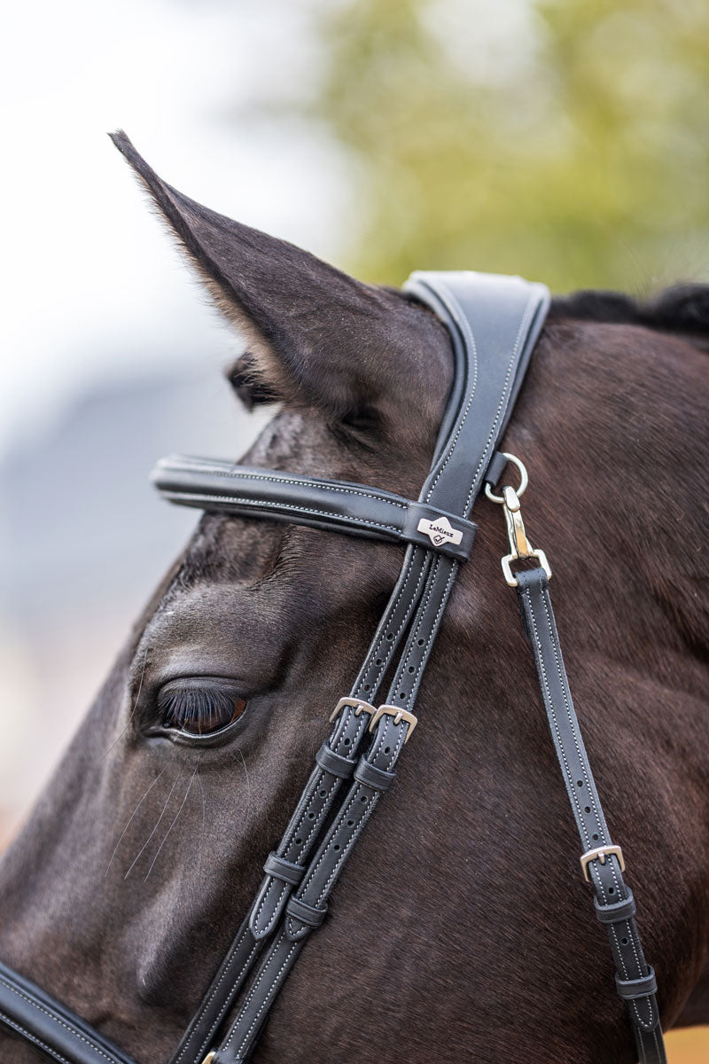Le Mieux Kudos Work Bridle Black