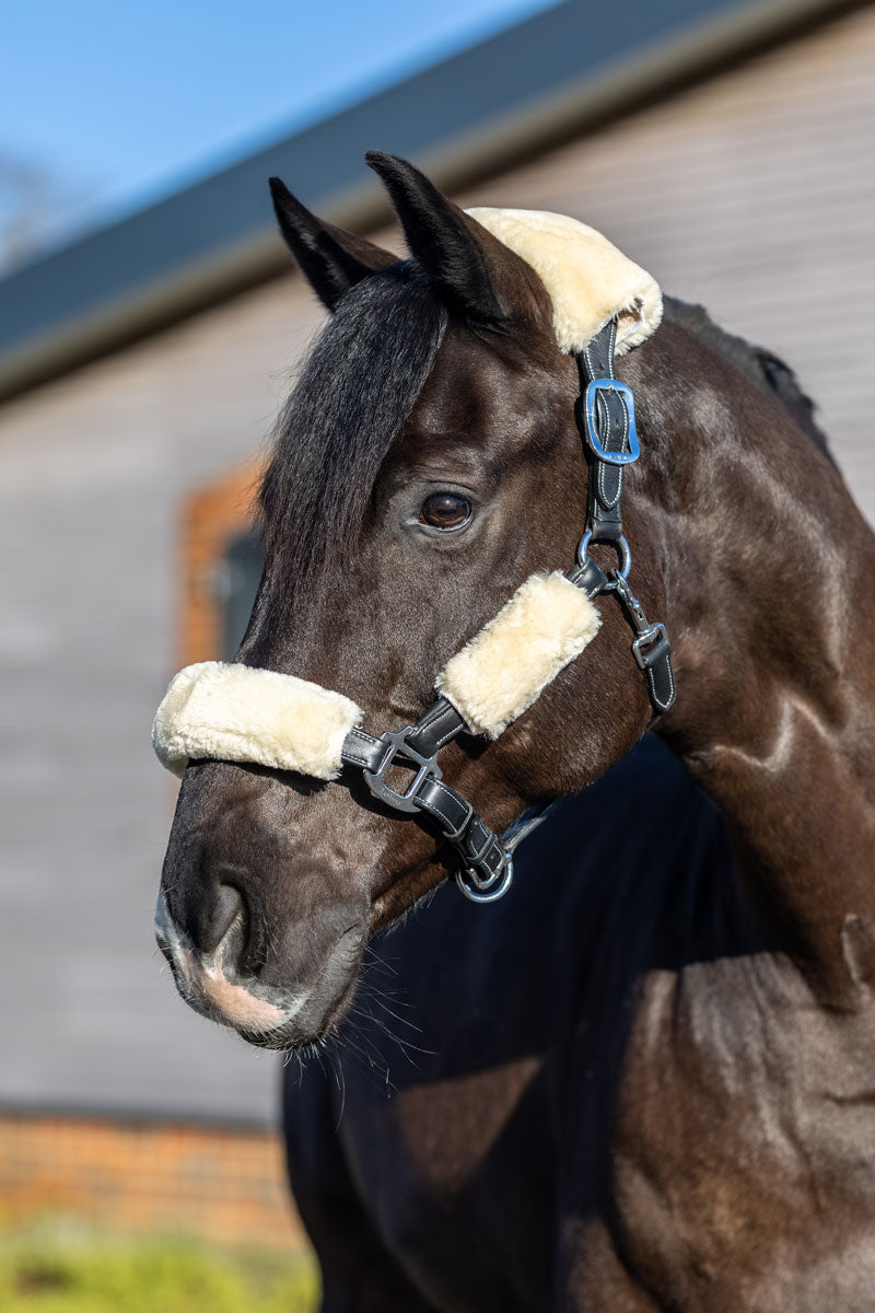 LeMieux Simuwool Headcollar Set Natural