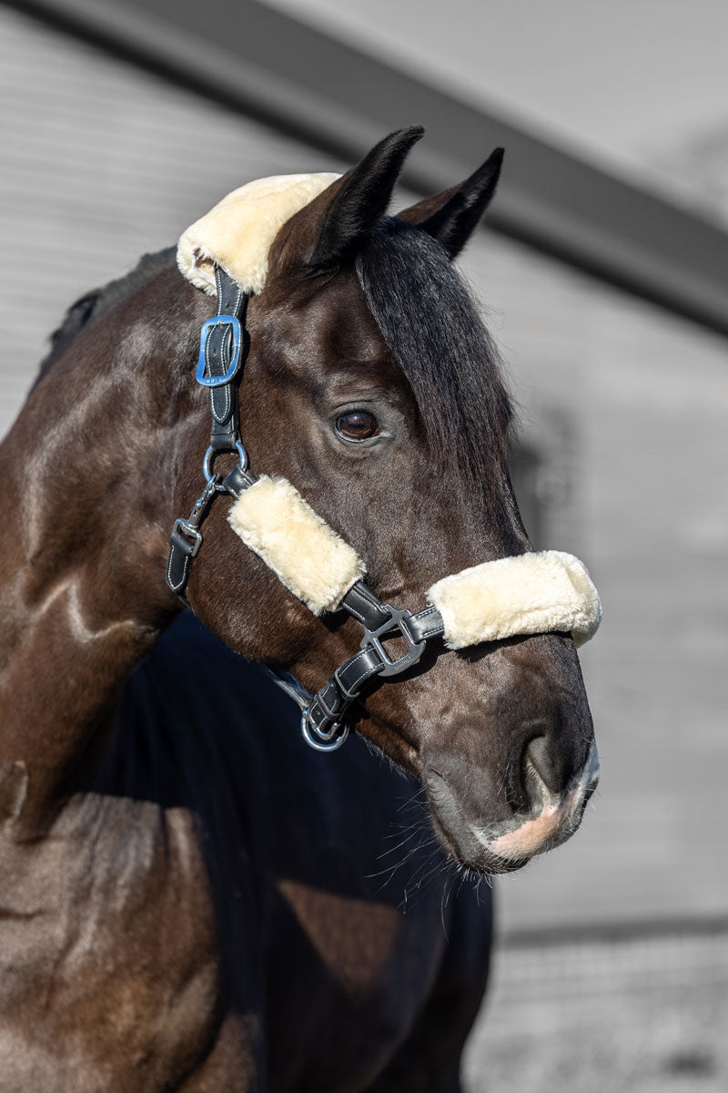 LeMieux Simuwool Headcollar Set Natural