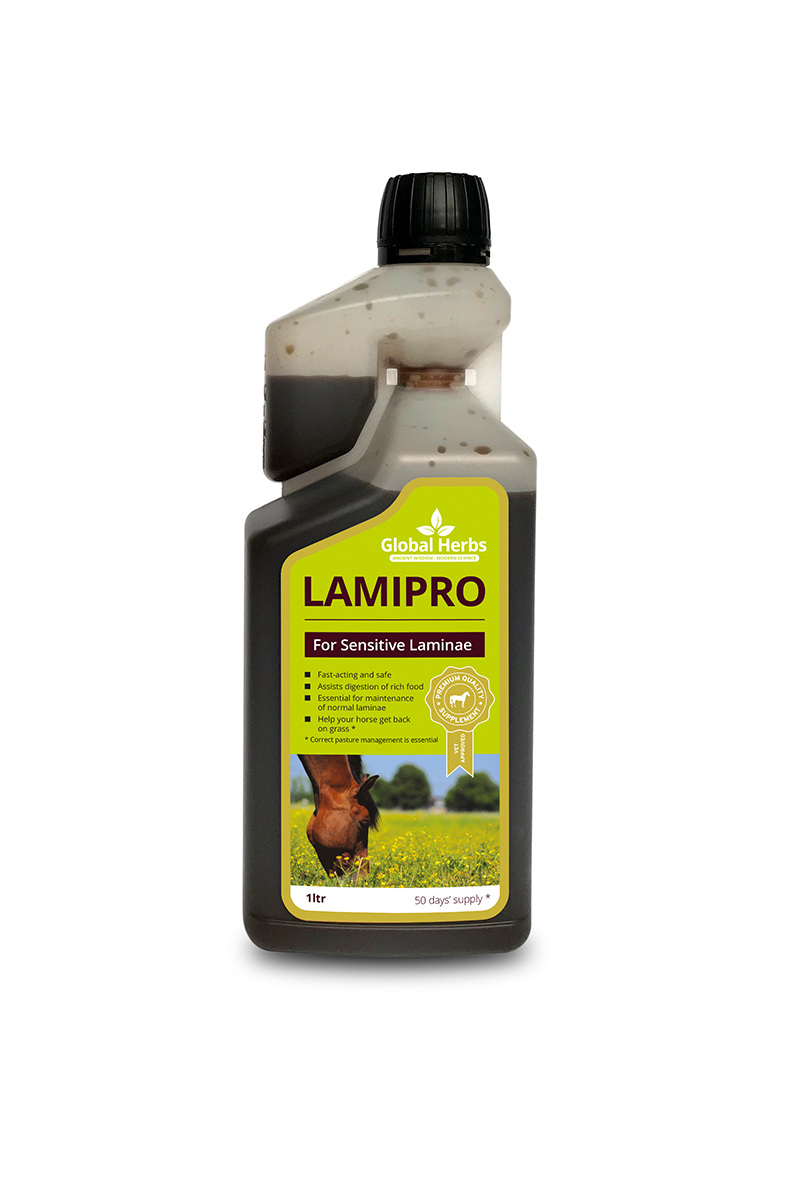 Global Herbs LamiPro Liquid 1L