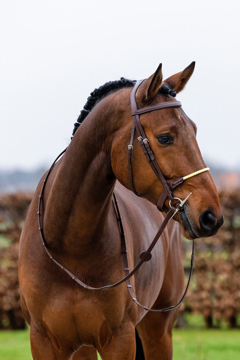 Trust St. Gallen Rope Noseband Bridle Brown/Silver