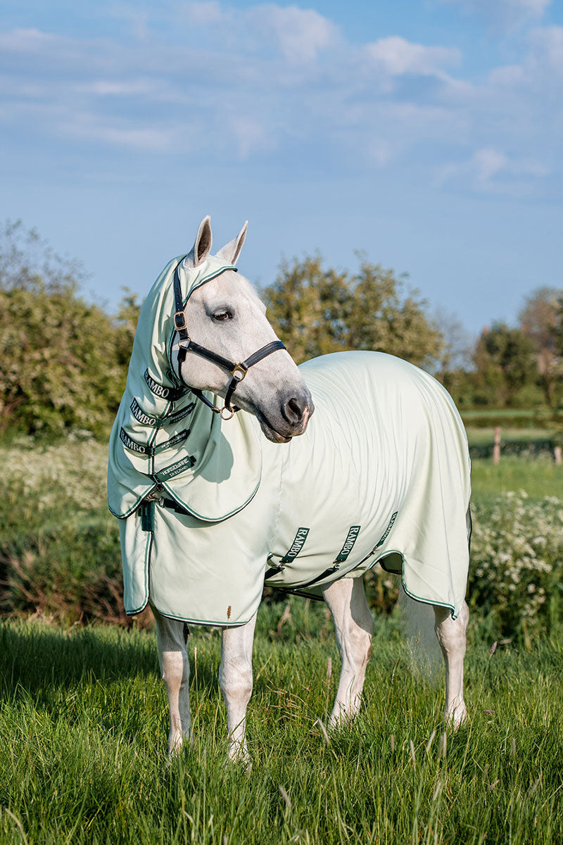 Rambo XL Hoody 0g Green/Sage, Beige & Green