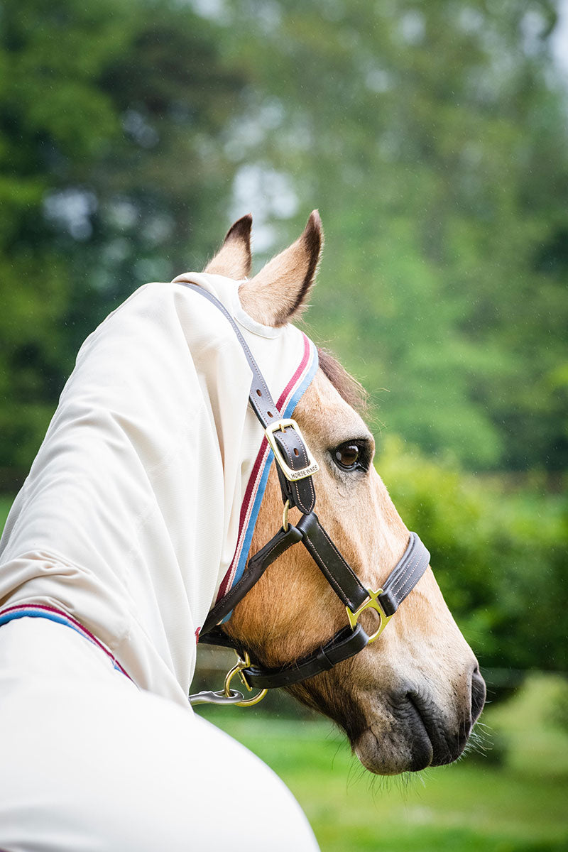 Rambo Pony Hoody Sand/Cherry, Peach and Blue