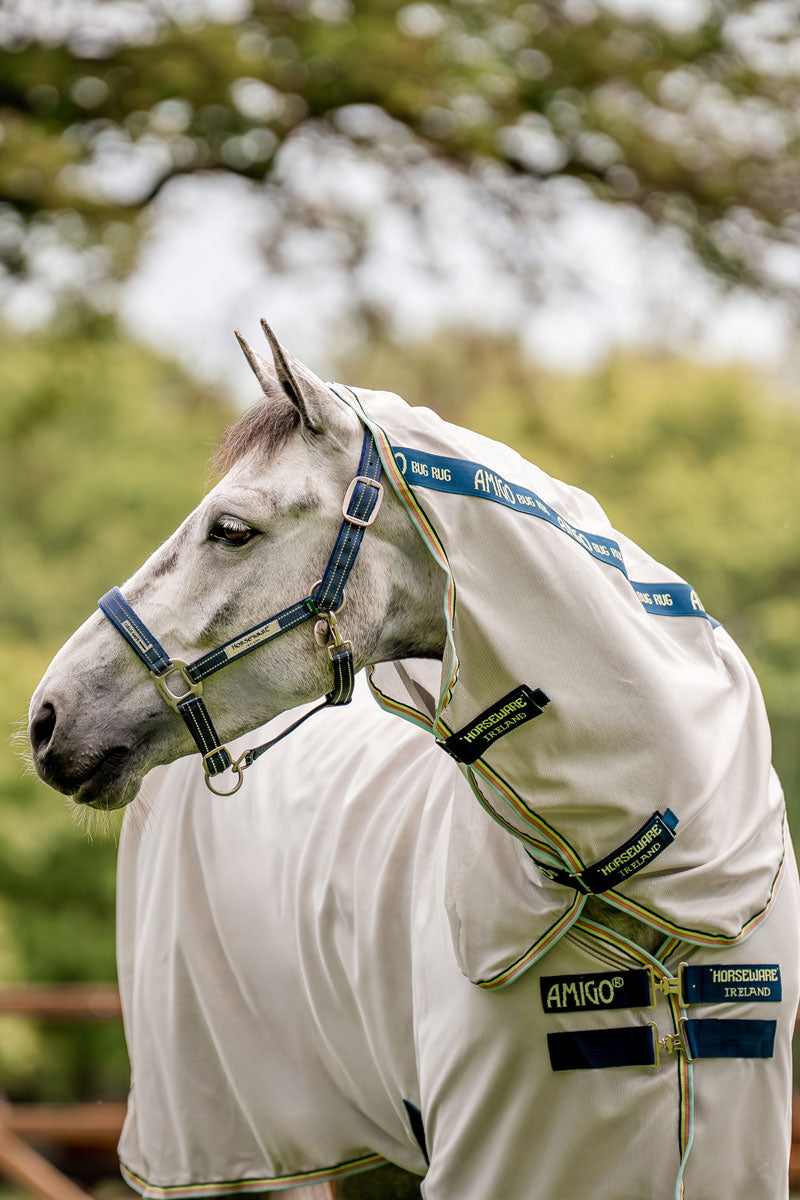 Horseware Field Safe Headcollar Navy