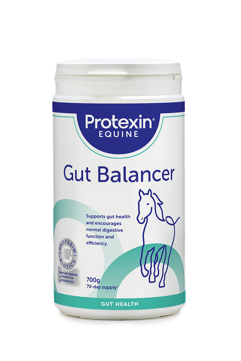 Protexin Gut Balancer 700g