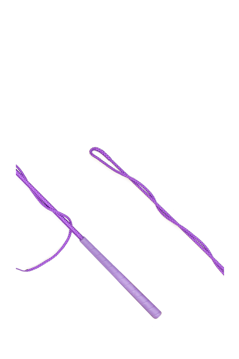 Country Direct Country Lunge Whip- Purple