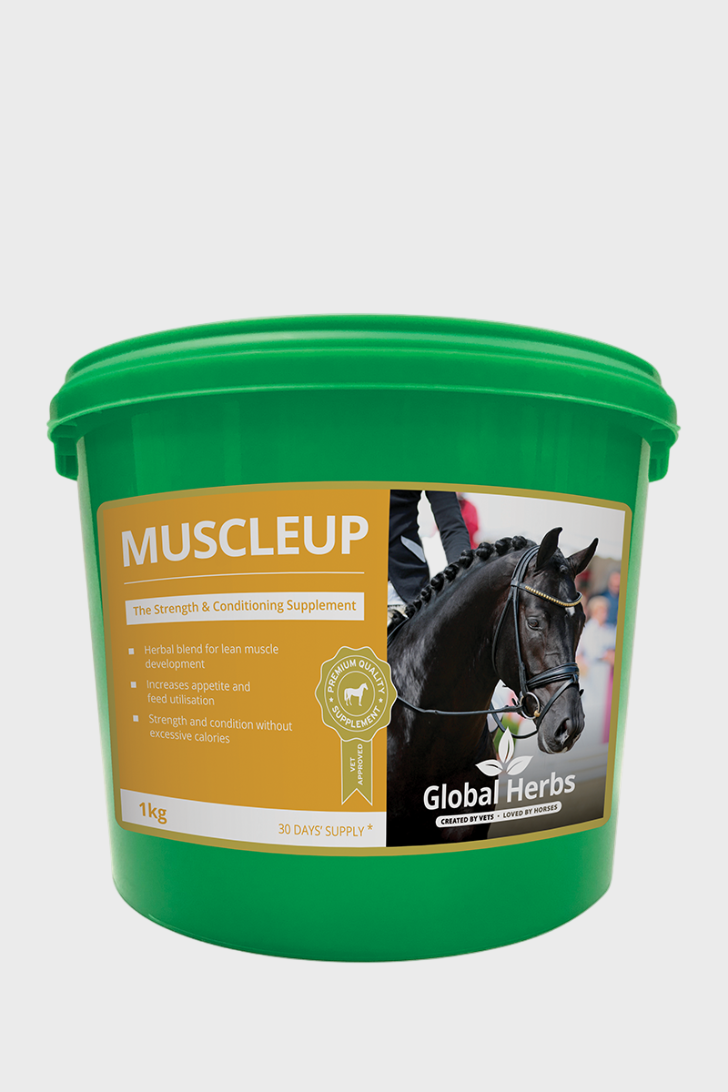Global Herbs MuscleUp 1kg