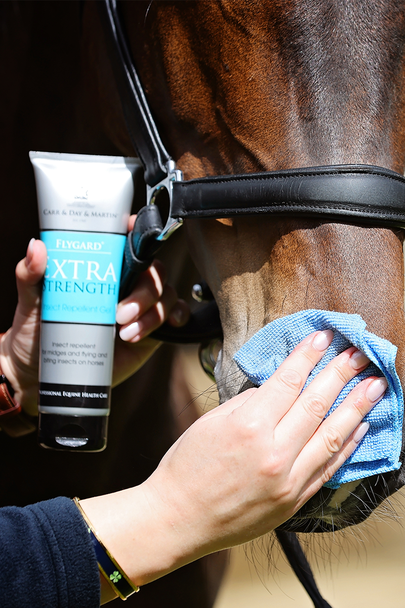 Carr & Day & Martin Flygard Extra Strength Gel 250ml