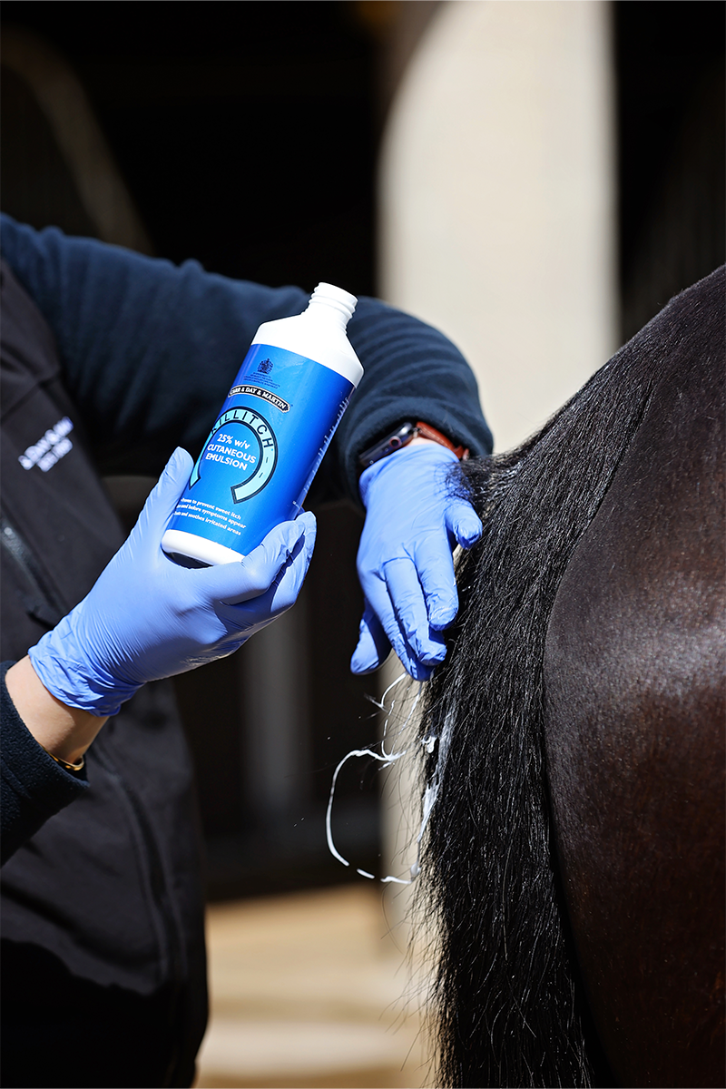 Carr & Day & Martin Killitch 500ml