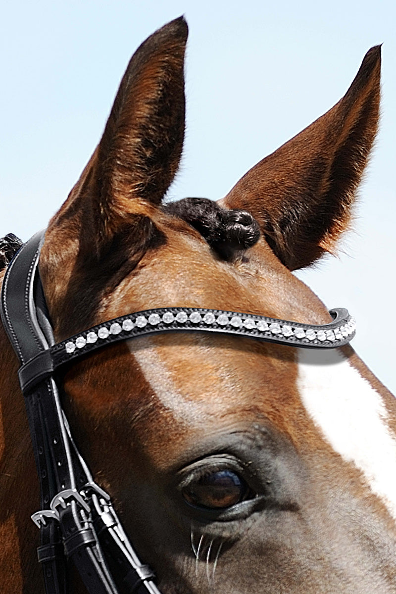 Passier Waved Browband in Black Leather with Big Crystals