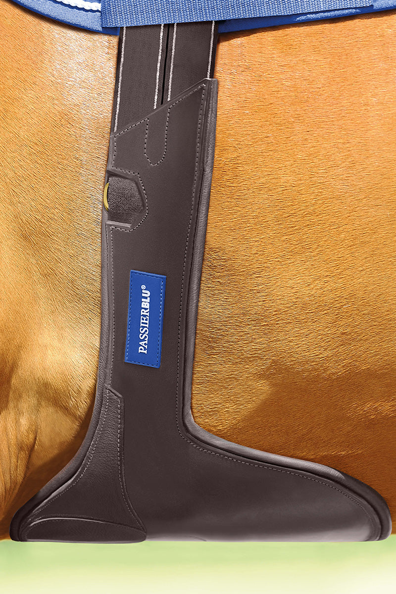 PassierBlu Protect Leather Saddle Girth with Stud Guard Havana