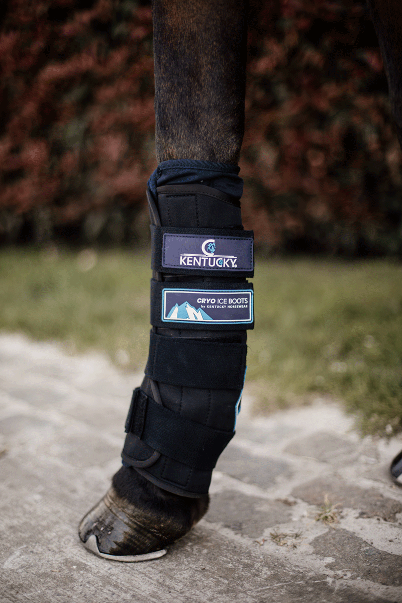 Kentucky Horsewear Cryo Ice Boots