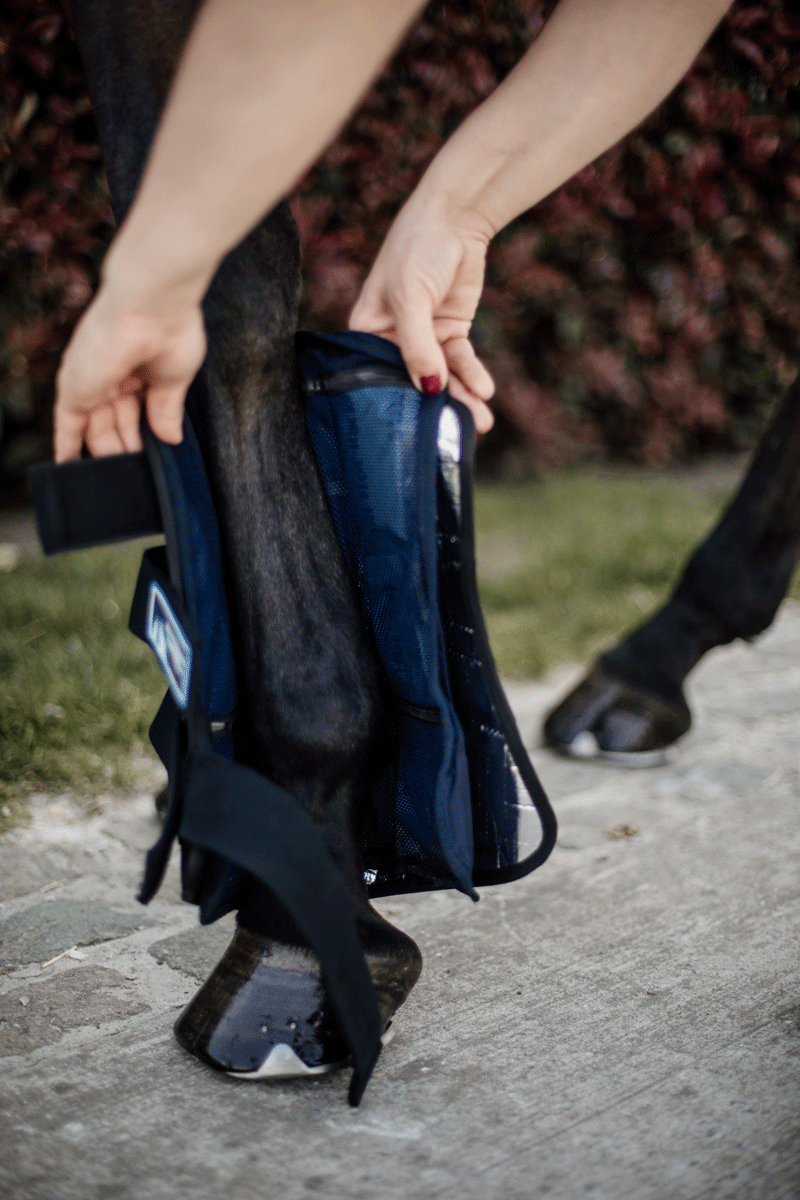 Kentucky Horsewear Cryo Ice Boots