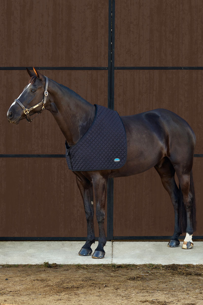 Weatherbeeta Deluxe Shoulder Guard Black 