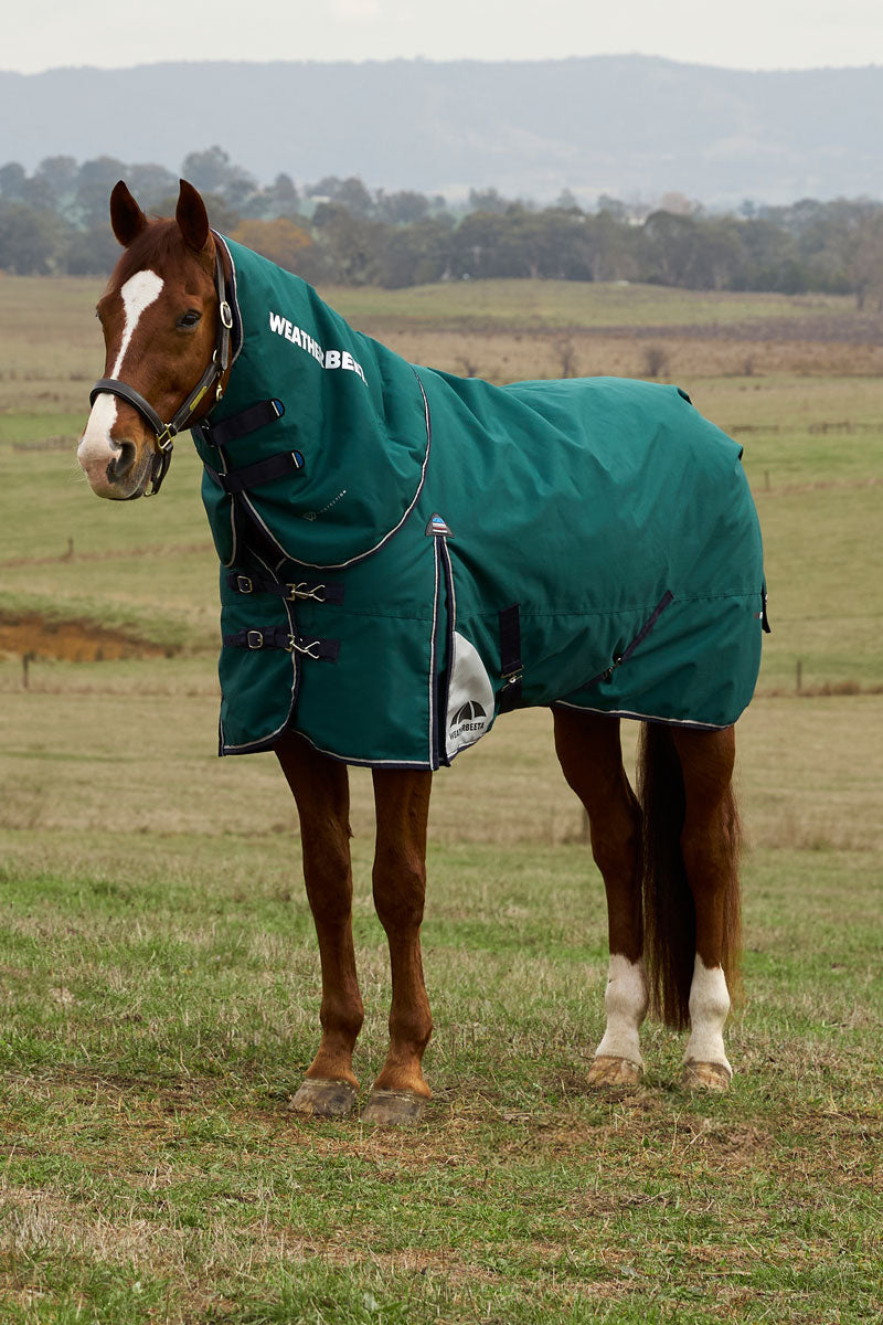 Weatherbeeta ComfiTec Plus Dynamic Turnout Detach-a-Neck 220g Forest Green/Navy 