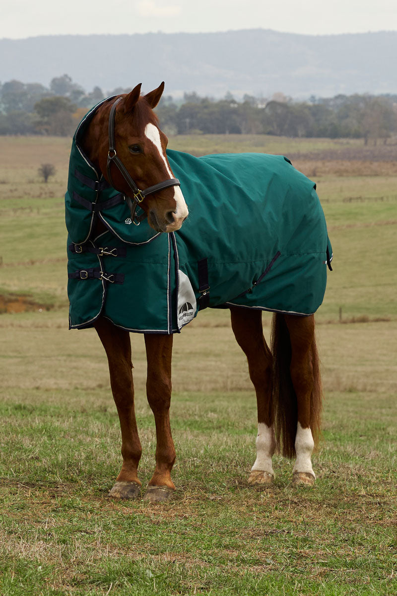 Weatherbeeta ComFiTec Plus Dynamic Detach-A-Neck 100g Turnout Forest Green/Navy