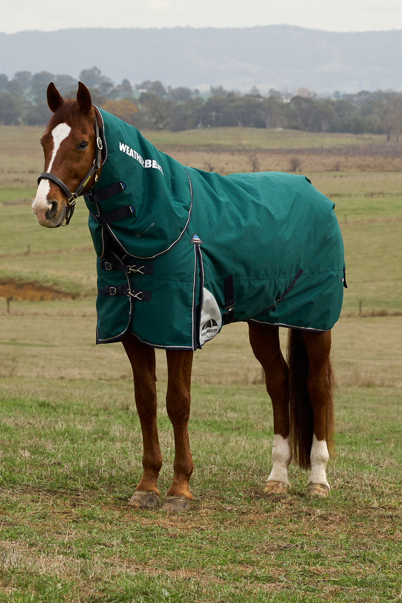 Weatherbeeta ComFiTec Plus Dynamic Detach-A-Neck 100g Turnout Forest Green/Navy