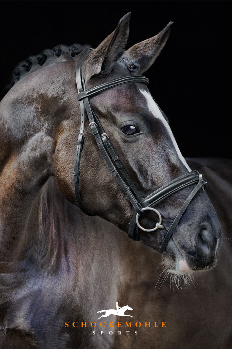 Schockemohle Mannheim Bridle Black/Silver