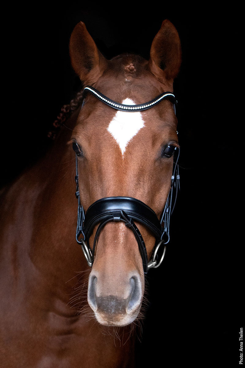 Schockemohle Stanford Bridle Black/Silver