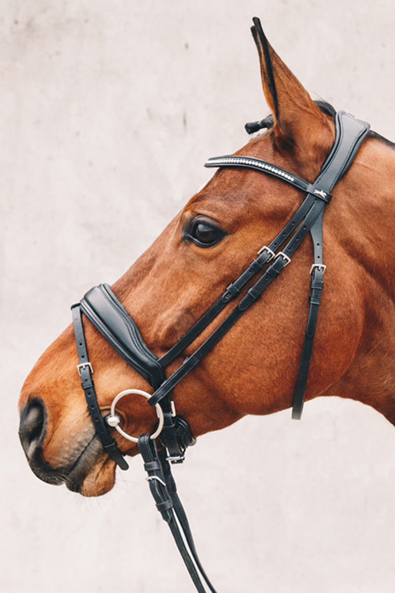 Schockemohle Stanford Bridle Black/Silver