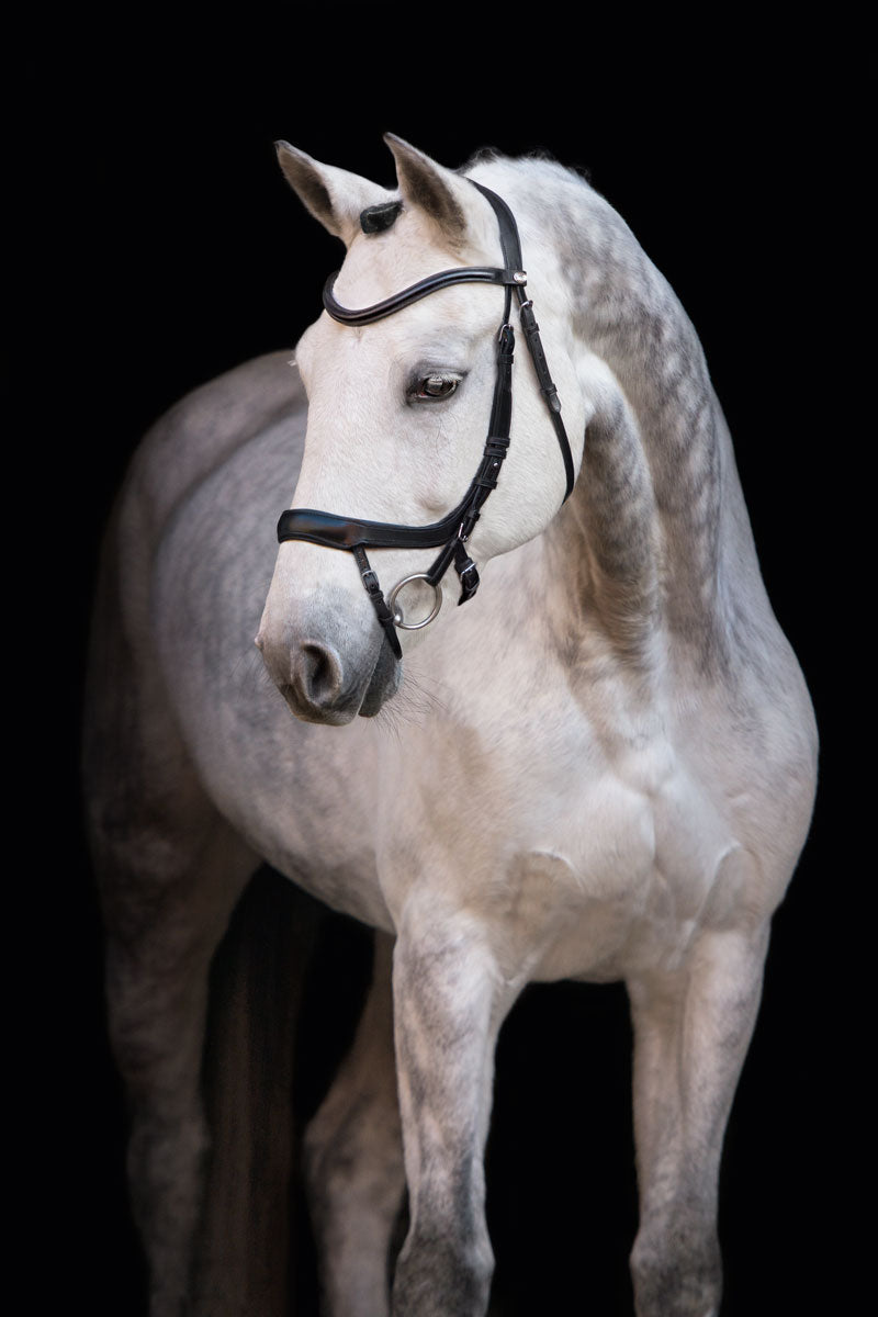 Schockemohle Equitus Alpha Bridle Black/Silver